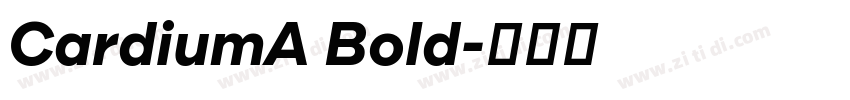 CardiumA Bold字体转换